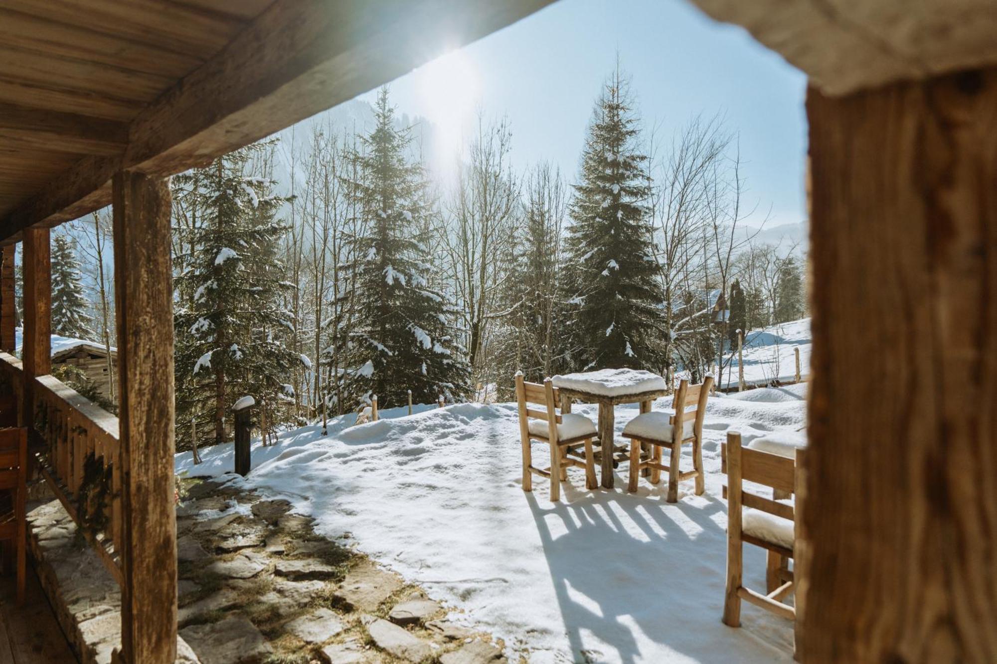 Chalet 1864 Ле-Гран-Борнан Экстерьер фото