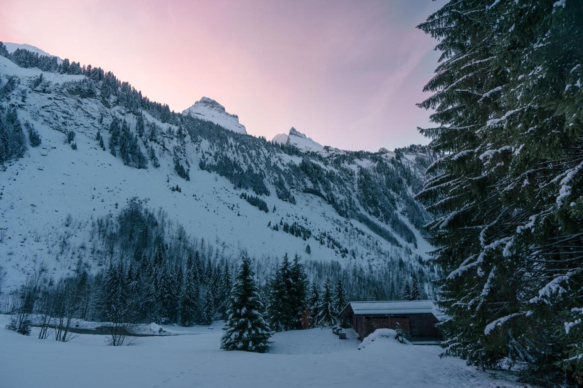 Chalet 1864 Ле-Гран-Борнан Экстерьер фото